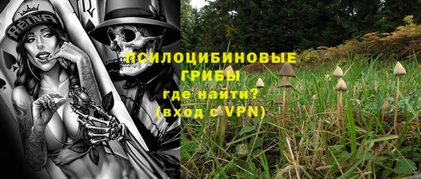 прущие крисы Белоозёрский