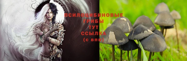 прущие крисы Белоозёрский