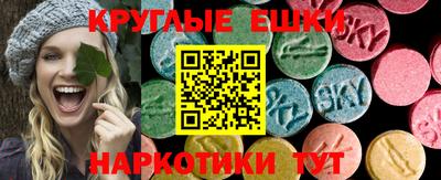 мяу мяу мука Кингисепп